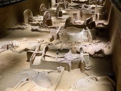 -洛阳周王城天子驾六博物馆