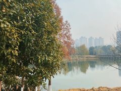 -洋湖国家湿地公园
