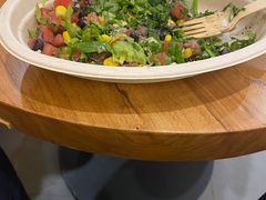 -油梨树 AVOCADO TREE(亮马桥店)