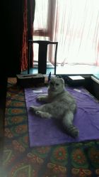 -花药坊·花藥坊-芳香疗法工作室