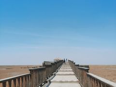 -红海滩国家风景廊道
