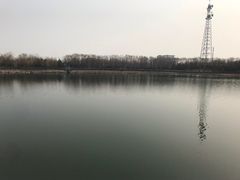 -大兴滨河森林公园