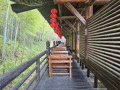 -大唐贡茶院