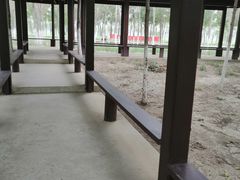 -西青郊野公园