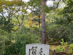-天龙寺