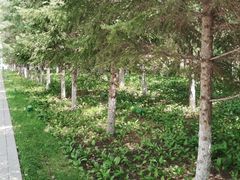 -长春世界雕塑园冰雪艺术天地