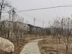 -康陵正德春饼宴26号
