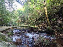 -江西阳明山国家森林公园