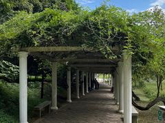 -苏州上方山国家森林公园