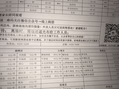 -枫花园汽车电影院(朝阳公园店)