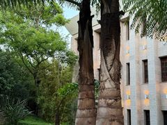 -玖合素手·轻养足浴SPA(云纺大悦城店)