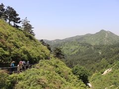 -木兰云雾山