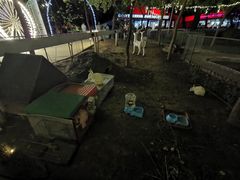 -枫花园汽车电影院(朝阳公园店)