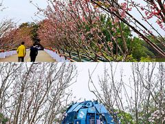 -观澜湖生态运动公社