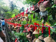 -呀诺达热带雨林