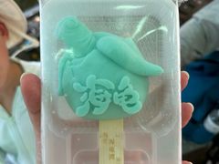 -广东惠东海龟国家级自然保护区