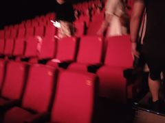 -武汉华夏国际影城(鲁广店)