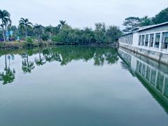 -莲湖山庄
