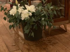-懒鱼时光馆(沙坪坝店)