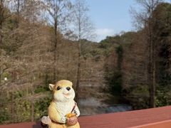 -云溪植物园