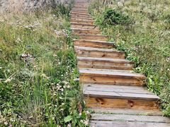 -白草畔自然风景区