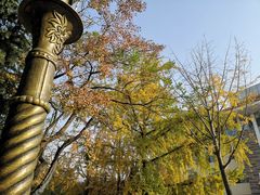 -八大关景区