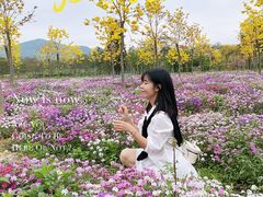 -天适樱花悠乐园