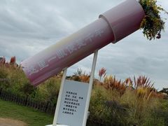 -荷兰花海