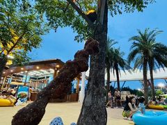 -武汉玛雅海滩水公园