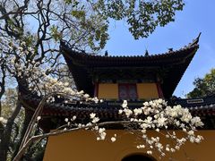 -普陀山风景名胜区-法雨禅寺