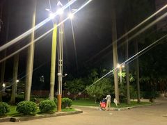 -金砂公园
