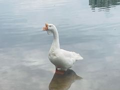 -太阳宫公园