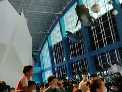 -泉城欧乐堡海洋极地世界