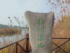 -溱湖国家湿地公园