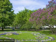 -武汉紫薇都市田园