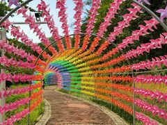 -广州白江湖森林公园