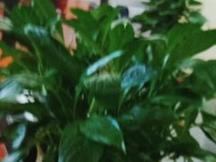 -张钰强中医正骨推拿连锁(唐家人才公寓店)
