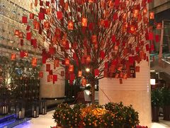 -厦门喜来登酒店