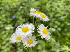 -上海吴淞炮台湾国家湿地公园