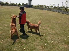 -上海多利农业发展有限公司