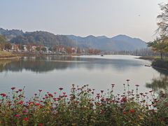 -千年银杏谷文化旅游区