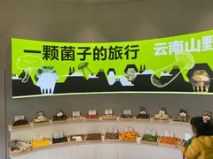 -花菇朵 ll 野生菌锅·精品滇菜(后沙峪店)