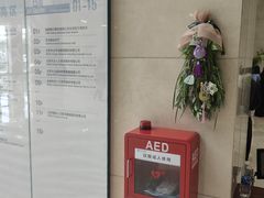 -世东国际