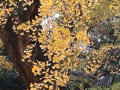 android_upload_pic-无锡惠山寺