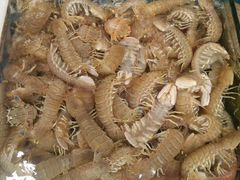 -江杨农产品批发市场