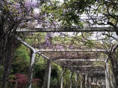 -叶家花园