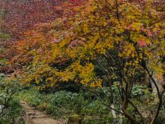 -岳麓山风景名胜区