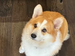 -肥朵食堂(带梦胡同店)