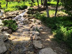 -大连植物园