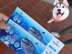 -顺德南宏海立方海洋公园
